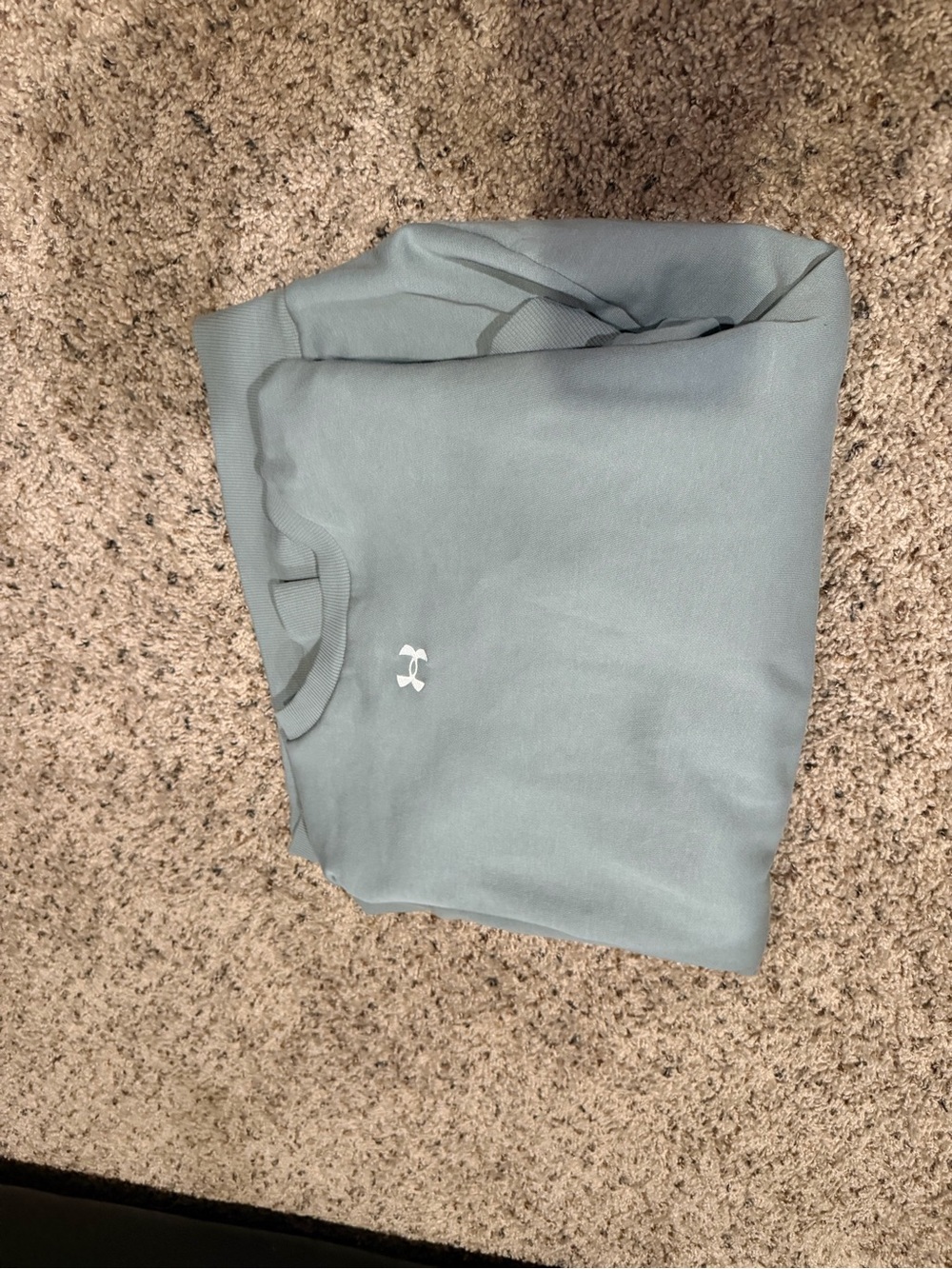 Under Armour Oversized Crewneck Sweatshirt in Light green